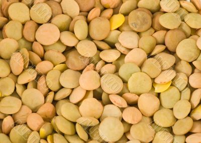 Lentils closeup