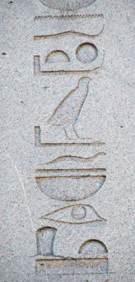 Hieroglyphics from the Obelisk of Thutmosis III in Istanbul