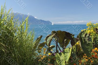 view of the lake Geneva