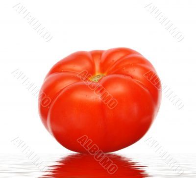 tomato