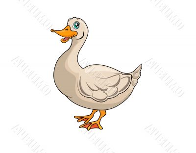 duck vector