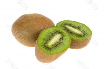 the kiwi