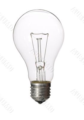 the bulb