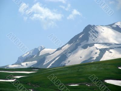 the Alpine meadows