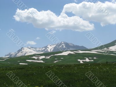 the Alpine meadows