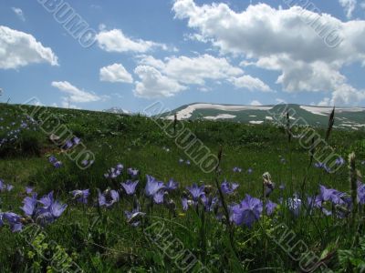 The main Caucasian ridge