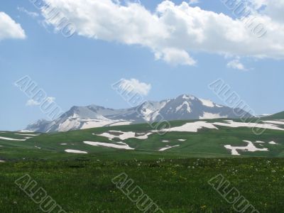 the Alpine meadows
