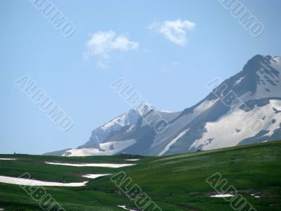 the Alpine meadows