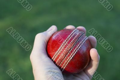 Hand Holding Cricket Ball