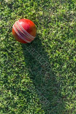 Cricket Ball On Grass Cricket Ball On Grass