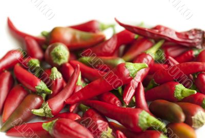 Red Hot Chilli Red Hot Chilli