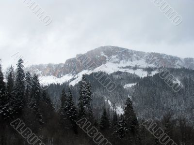 winter winter