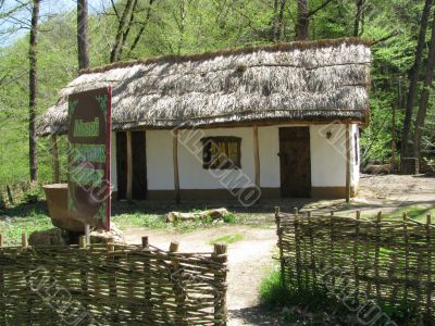 Shelter for cattle