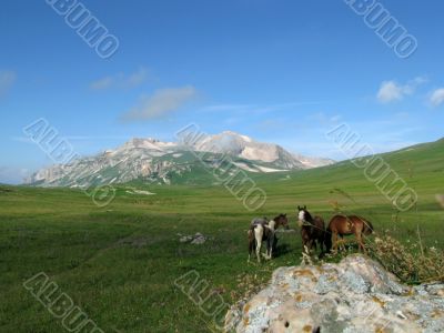 Mountains Mountains