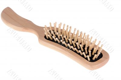 hairbrush