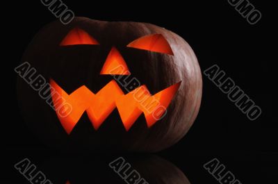pumpkin halloween