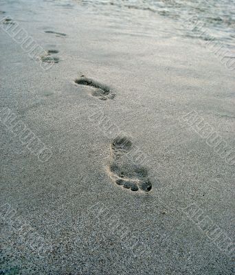 Traces on sea sand