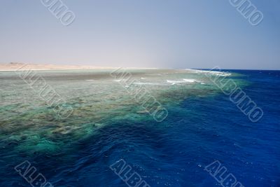 huge coral reef