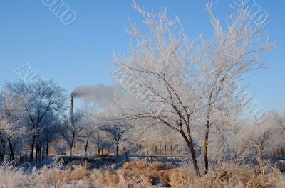 Winter Landscape and Smoking Chimney