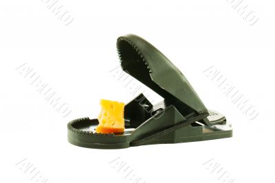 Black plastic mousetrap with bait