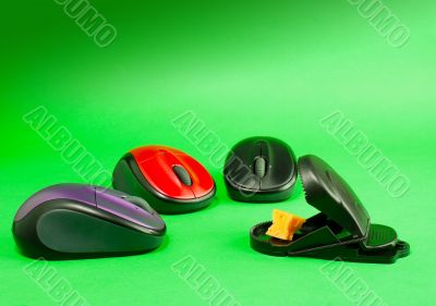 Three computer mouses with a mousetrap 