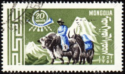 Post stamp with man in national Mongolian costume on yak