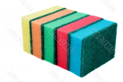 sponges