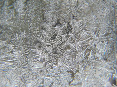 Ice flowers