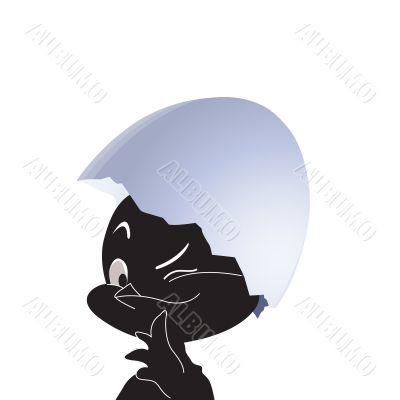 Black chicken in egg. Vector illustration