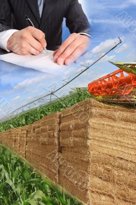 layout for agriculture layout for agriculture