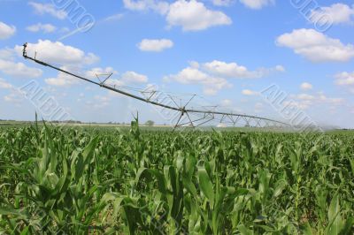 irrigation system for agriculture