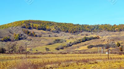 Beautiful autumn