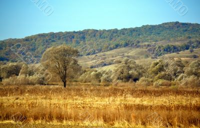 Beautiful autumn