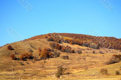 Beautiful autumn Beautiful autumn