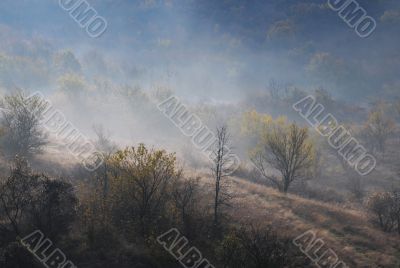 Foggy Hilly Contryside in the Late Fall