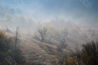 Foggy Hill Slope in the Late Fall