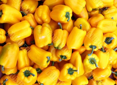 yellow sweet pepper