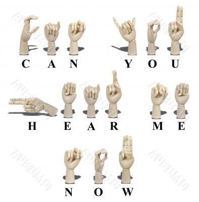 Can You Hear Me Now in Sign Language