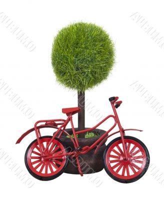 Red Bicycle Leaning Against Potted Tree
