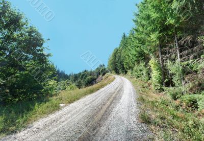 Dirt Road Curving Along Tree-lined Hillside Panorama