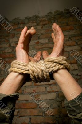 Hands of man tied up with rope