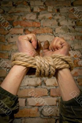 Hands tied up with rope Hands tied up with rope
