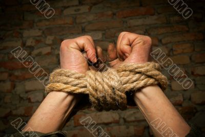 Hands of man tied up with rope