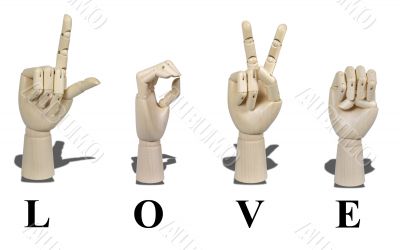 Love in Sign Language