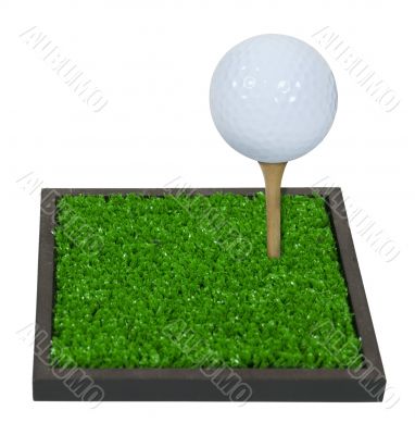 Golf Ball on a Tee on Green Grass