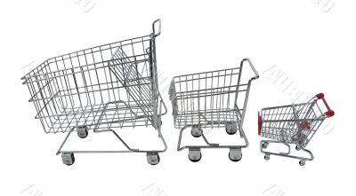 Family Shopping Carts