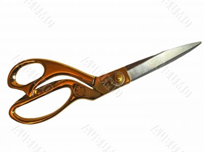 Sew scissors with a gold handle on the white background isolated