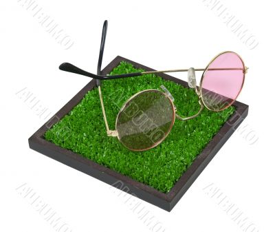 Rose Colored Glasses on The Grass