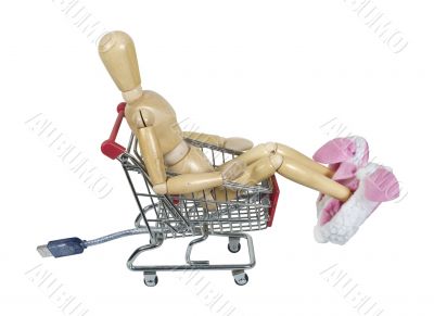 Shopping Online Wearing Bunny Slippers