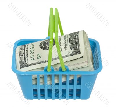 Shopping Basket Full of Money